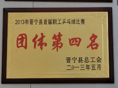 公司荣誉
