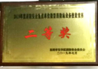公司荣誉